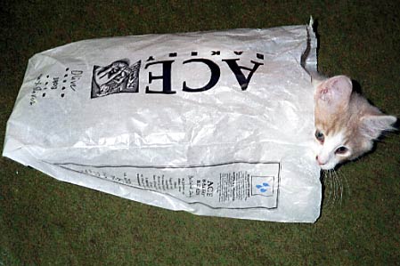 03_JackInTheBreadBag
